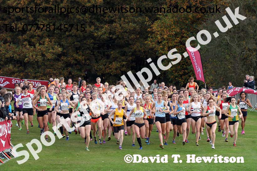 Senior womens National Cross Country Relays. Photo: David T. Hewitson/Sports for All Pics